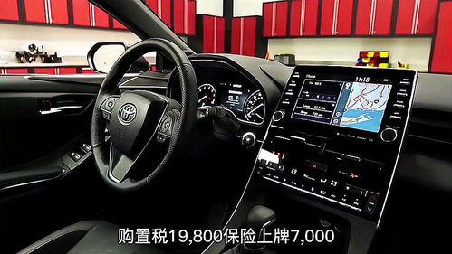 亚洲龙检测视频