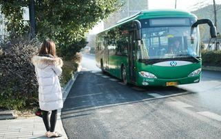 吃瓜网红公交车