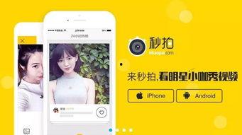 日韩视频第7页一seo1短视频,揭秘热门内容背后的秘诀